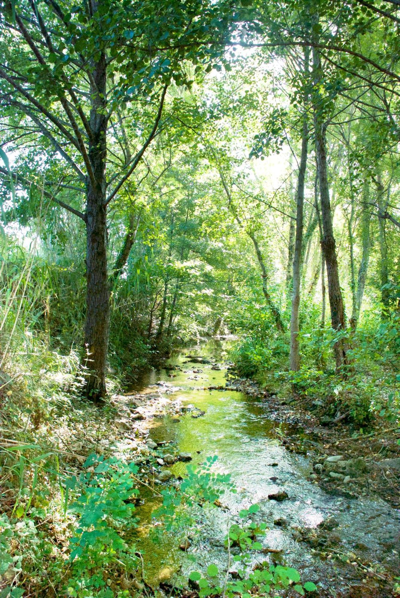 Chartreuse De Mougeres - Caux Pezenas Panzió Kültér fotó