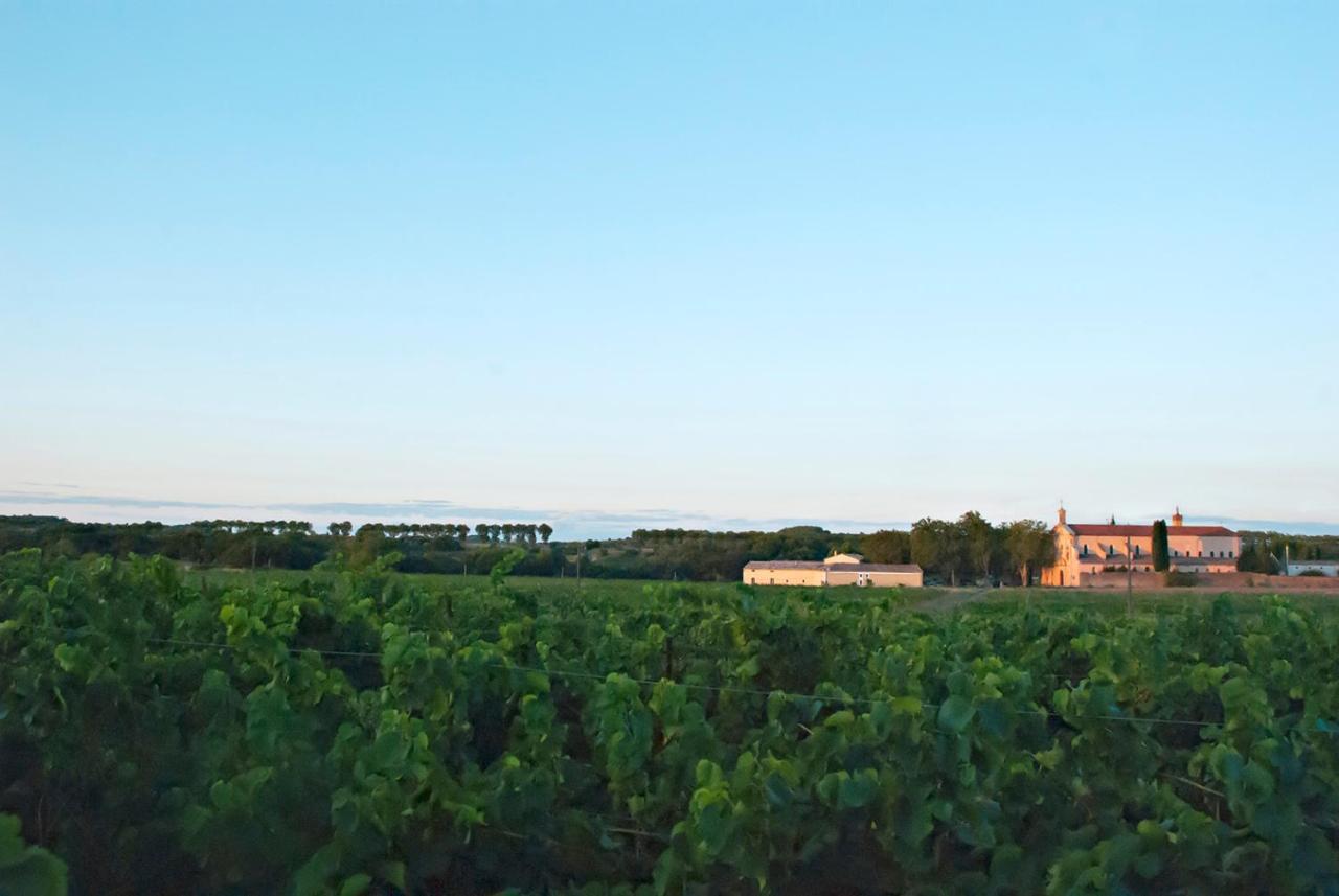 Chartreuse De Mougeres - Caux Pezenas Panzió Kültér fotó